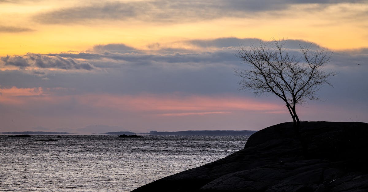 A Culinary Journey Through Gold Coast's Best Seafood Restaurants