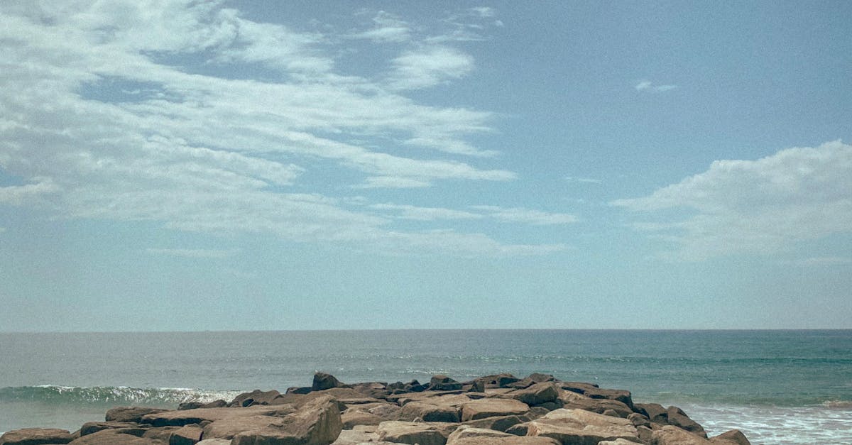 Casual Dining: A Guide to Pet-Friendly Restaurants on the Gold Coast