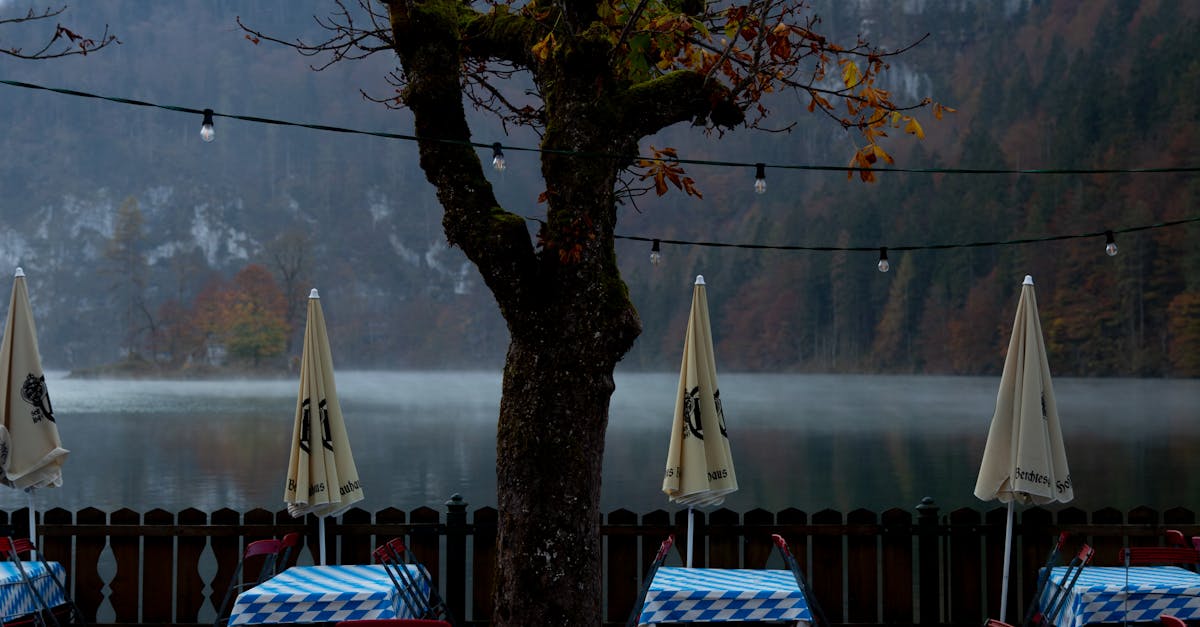 Casual Dining: A Taste of Gold Coast's Local Flavours