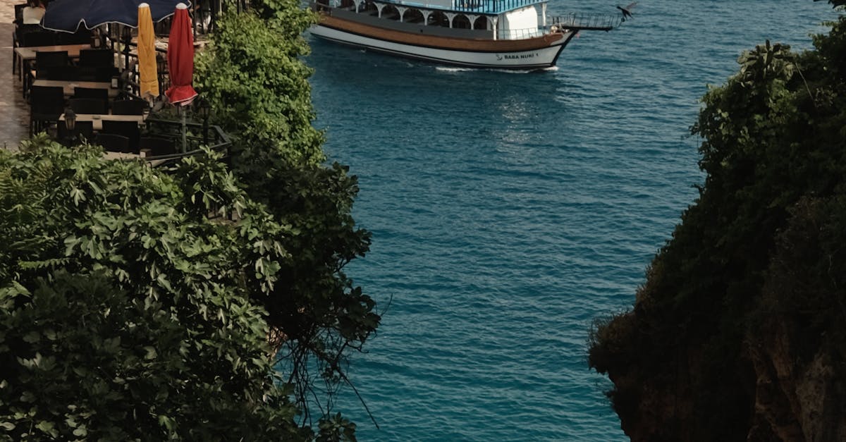 Exploring the Best Italian Pizzerias on the Gold Coast