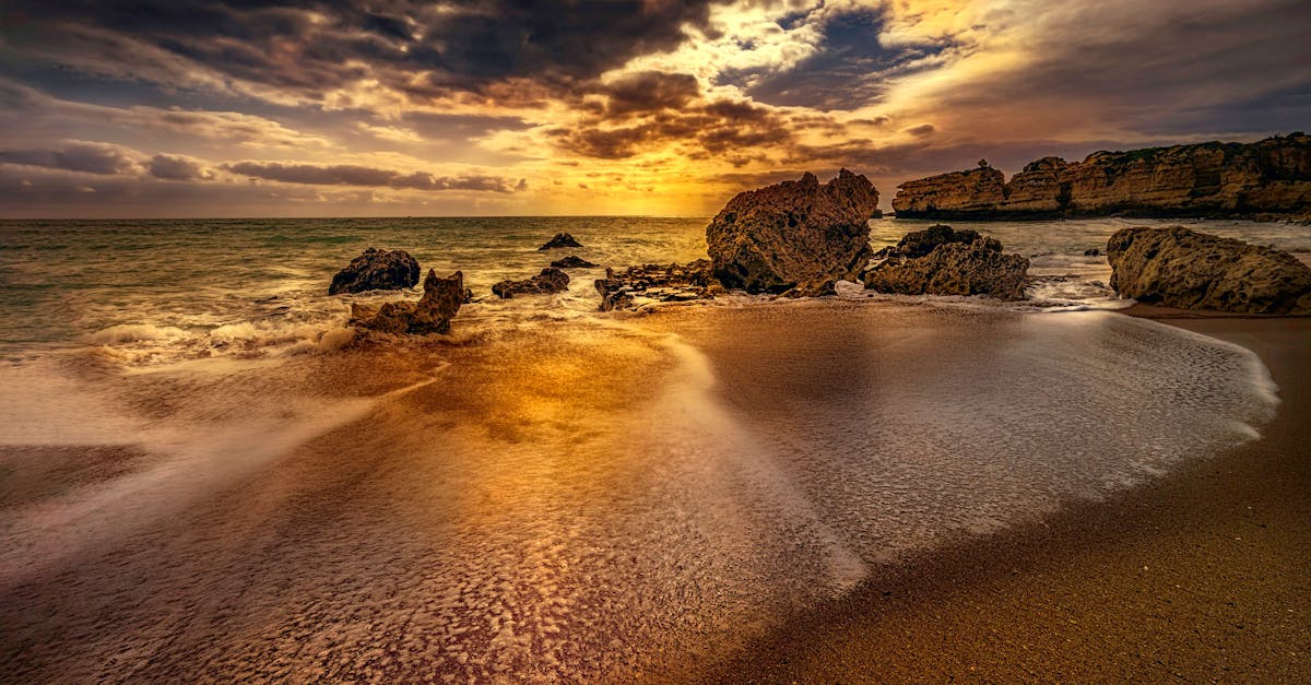 Sourcing Sustainable Practices in Gold Coast Modern Australian Restaurants