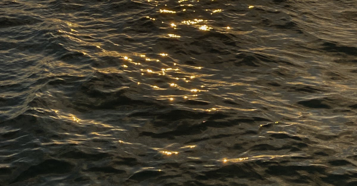 The History of Fast Food Culture in the Gold Coast