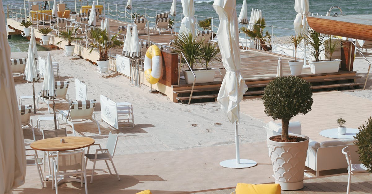 The Impact of Food Trucks on the Gold Coast Dining Scene