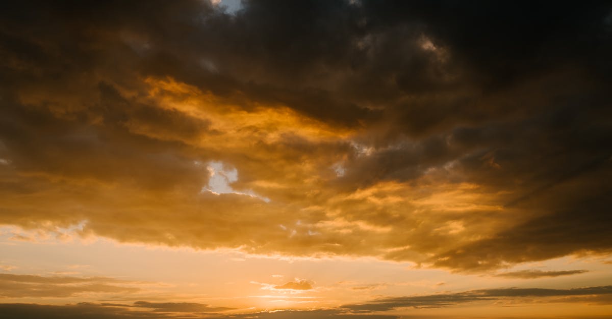 The Role of Atmosphere in Gold Coast Dining Experiences