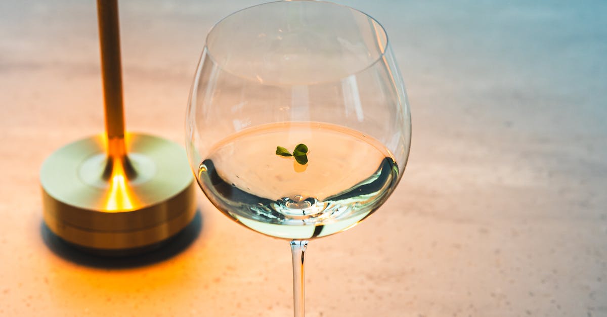 Top Casual Dining Spots on the Gold Coast for Family Gatherings