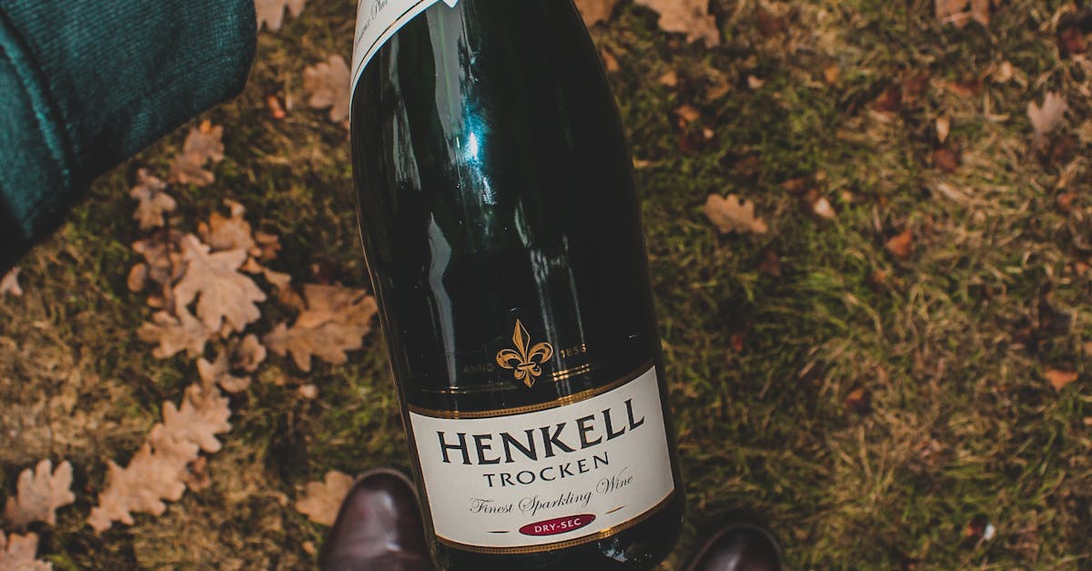 Unforgettable Views: Fine Dining Restaurants with Scenic Vistas